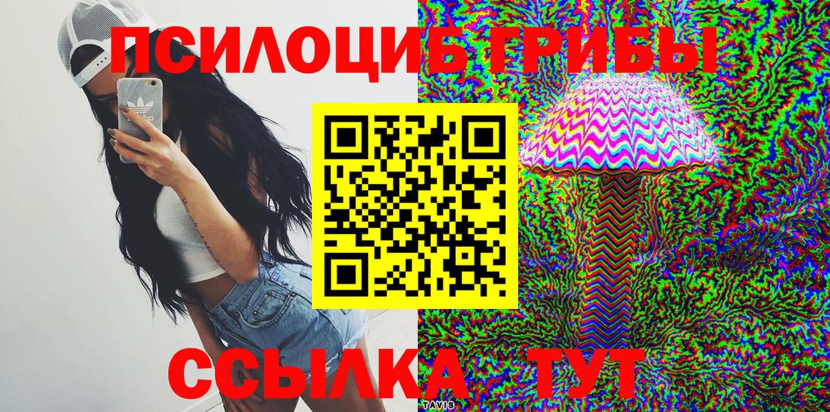 Галлюциногенные грибы мицелий  Псилоцибиновые грибы GOLDEN TEACHER  Вход с VPN  Гулькевичи 