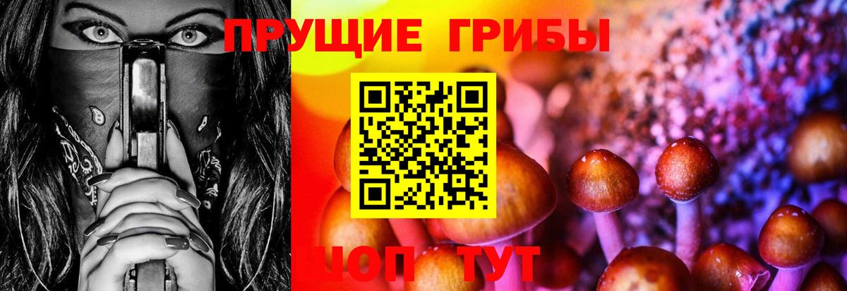 Галлюциногенные грибы MAGIC MUSHROOMS Гулькевичи